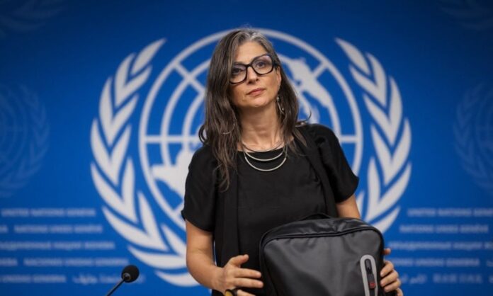 relatora-da-onu-critica-cessar-fogo-em-gaza-e-diz-que-tregua-e insuficiente-frente-a-‘genocidio’-do-povo-palestino