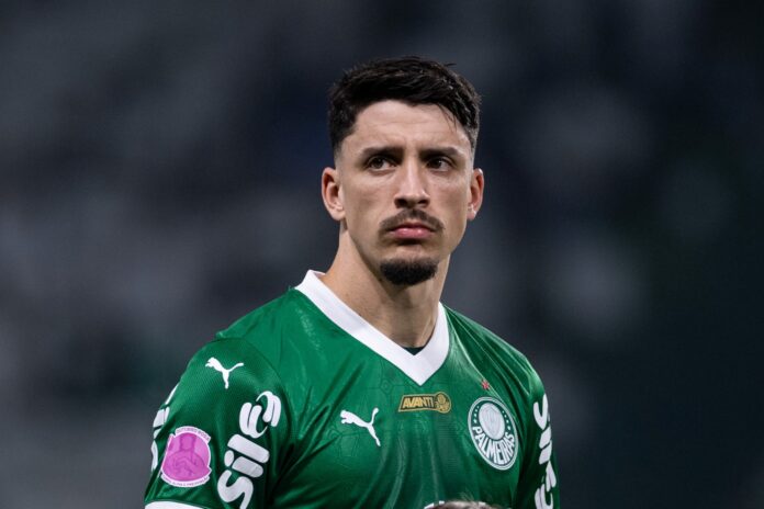 dupla-do-palmeiras-pode-jogar-libertadores-apos-denuncia-do-stjd?-veja