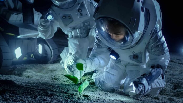 olhar-espacial:-o-futuro-da-humanidade-multiplanetaria olhar-espacial:-o-futuro-da-humanidade-multiplanetaria