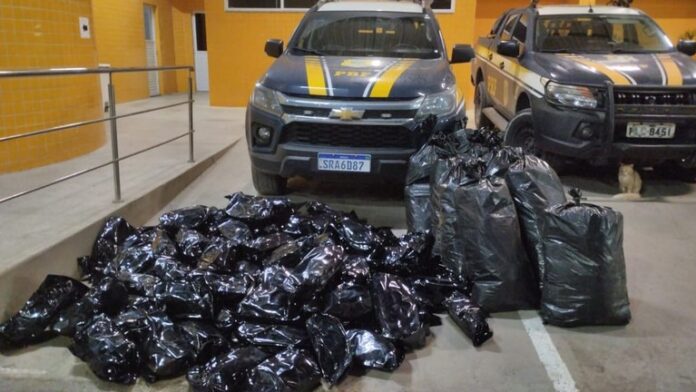 prf-apreende-109-kg-de-maconha-em-simoes-filho-e-prende-dois-motoristas;-um-dos-carros-funcionava-como-“batedor” prf-apreende-109-kg-de-maconha-em-simoes-filho-e-prende-dois-motoristas;-um-dos-carros-funcionava-como-“batedor”