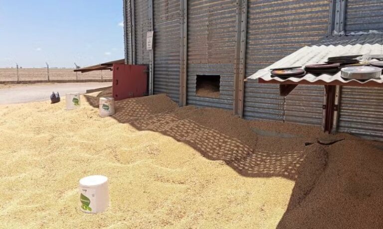 trabalhador-morre-apos-cair-em-silo-de-soja-durante-manutencao-em-luis-eduardo-magalhaes