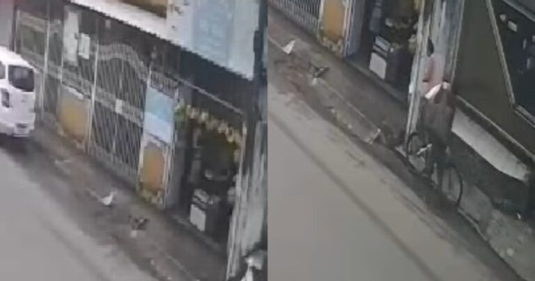 video:-cameras-registram-furto-de-bicicleta-em-santo-antonio-de-jesus