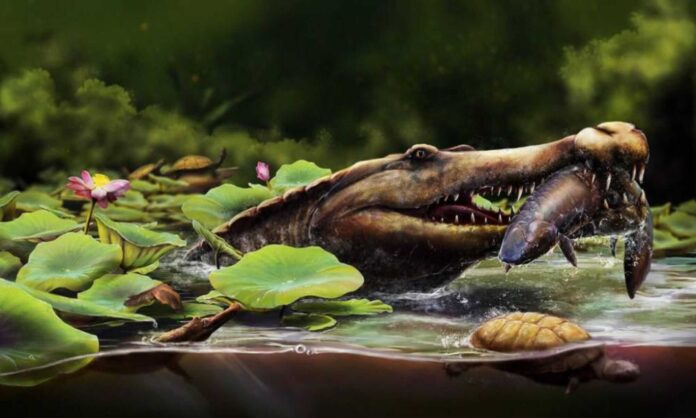 especie-de-crocodilo-de-80-milhoes-de-anos-e-identificada-no-egito especie-de-crocodilo-de-80-milhoes-de-anos-e-identificada-no-egito