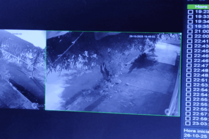 video:-pai-mata-filha-com-golpes-de-barra-de-ferro-em-calcada-de-sp video:-pai-mata-filha-com-golpes-de-barra-de-ferro-em-calcada-de-sp