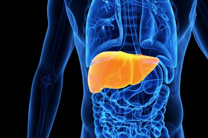 especialista-explica-os-riscos-de-fazer-desintoxicacao-do-figado especialista-explica-os-riscos-de-fazer-desintoxicacao-do-figado