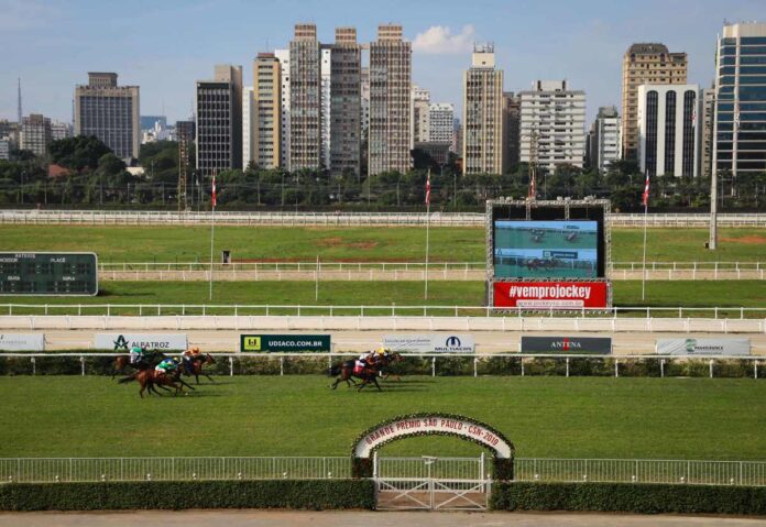 camara-de-sp-cria-cpi-para-investigar-jockey-apos-denuncia-de-racismo camara-de-sp-cria-cpi-para-investigar-jockey-apos-denuncia-de-racismo
