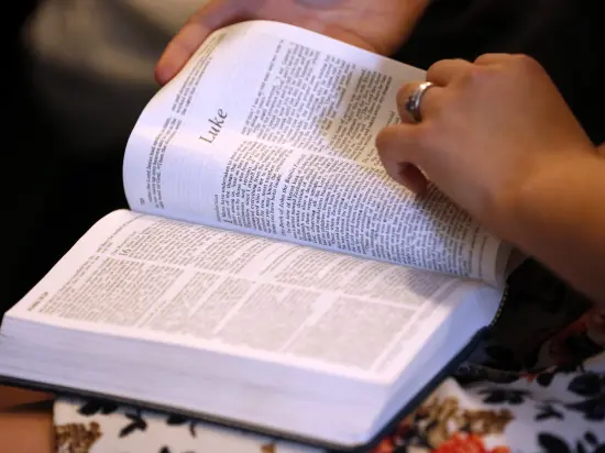 universidade-britanica-coloca-alerta-de-conteudo-sexual-explicito-na-biblia universidade-britanica-coloca-alerta-de-conteudo-sexual-explicito-na-biblia