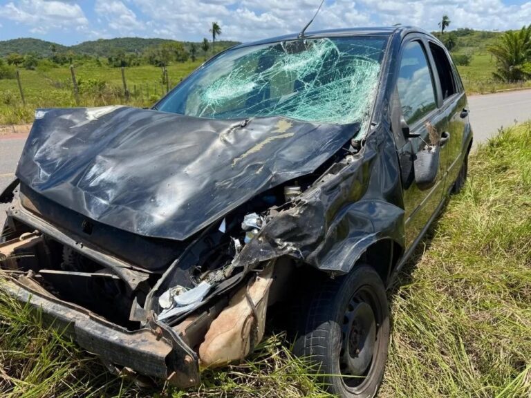 carro-colide-com-bufalo-na-zona-rural-de-mata-de-sao-joao;-animal-morre-no-local