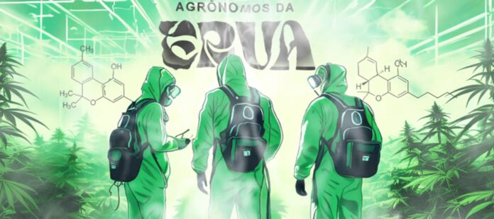 venda-de-“sementes-da-noia”-faz-agronomos-da-erva-pegarem-pena-pesada venda-de-“sementes-da-noia”-faz-agronomos-da-erva-pegarem-pena-pesada