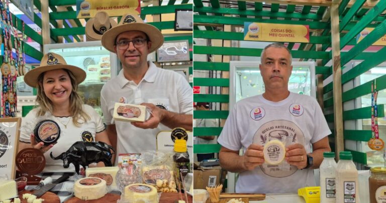 queijos-do-interior-baiano-sao-destaques-em-festival-de-produtos-artesanais
