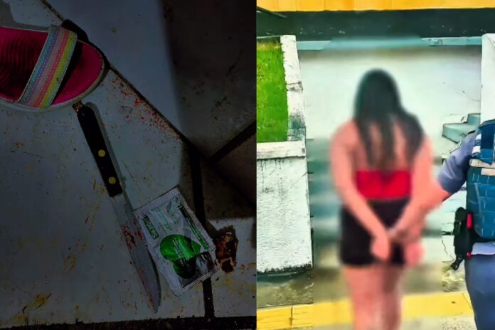 mulher-e-presa-apos-confessar-ter-matado-companheiro-com-facada-em-sp