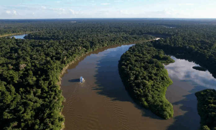 amazonia-e-cerrado-registram-queda-‘historica’-de-desmatamento,-diz-governo