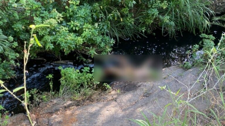 corpo-sem-braco-e-encontrado-em-area-de-mata-em-feira-de-santana