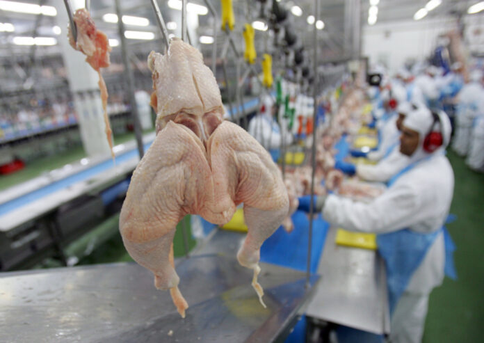 china-retira-proibicao-de-importacao-sobre-frango-brasileiro-apos-gripe-aviaria