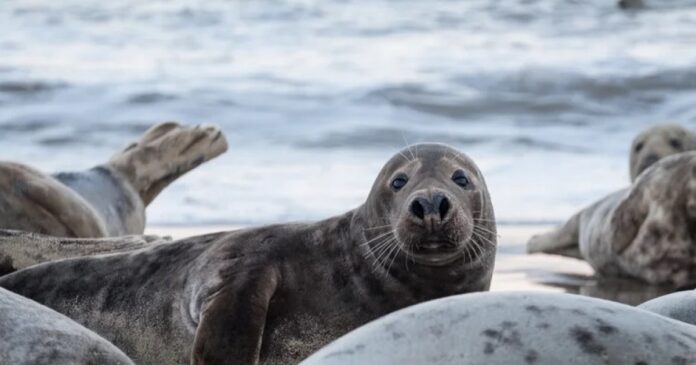 escolaridade-influencia-percepcao-sobre-mudancas-climaticas,-aponta-pesquisa