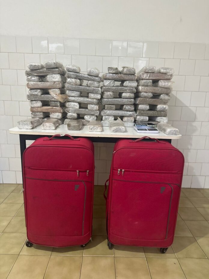 pm-encontra-54-kg-de-maconha-e-apreende-adolescente-em-alcobaca