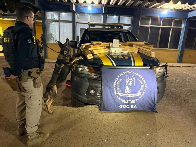 com-caes-farejadores,-prf-prende-passageiro-com-mais-de-34-kg-de-drogas-em-onibus-que-passava-por-feira