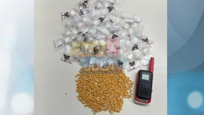 policia-militar-apreende-drogas-apos-fuga-de-suspeitos-em-pernambues