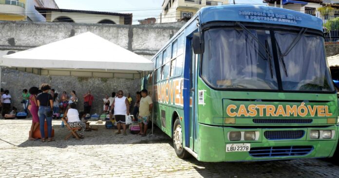 castramovel-inicia-castracoes-gratuitas-para-caes-e-gatos-no-suburbio-de-salvador;-saiba-mais