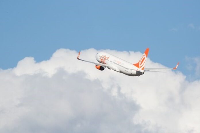 homem-com-autorizacao-judicial-e-impedido-de-viajar-com-cao-de-apoio