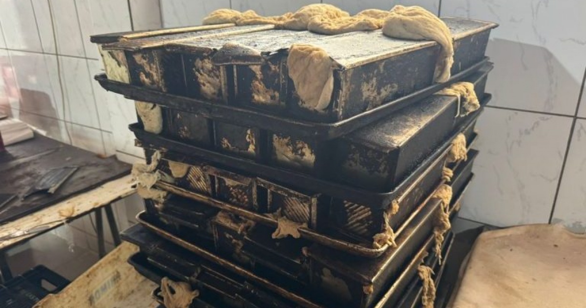 padaria-e-interditada-na-bahia-apos-apreensao-de-8-toneladas-de-produtos-irregulares