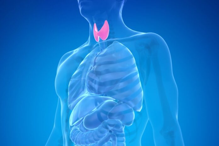 como-saber-se-a-tireoide-pode-estar-te-impedindo-de-emagrecer
