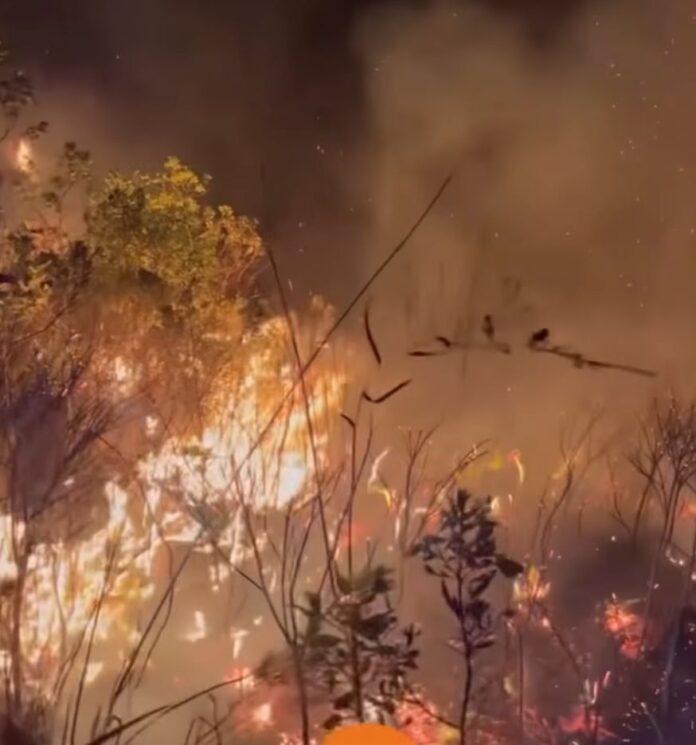video:-incendio-de-grandes-proporcoes-atinge-regiao-de-mucuge,-na-chapada-diamantina