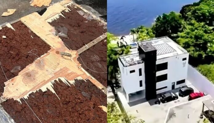 cocaina-negra:-policia-acha-56-kg-de-droga-em-mansao-ligada-a-empresaria-da-arezzo-em-manaus