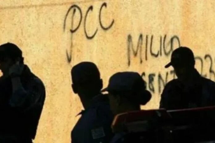 dono-de-helicoptero-usado-pelo-pcc-para-transporte-de-cocaina-e-preso