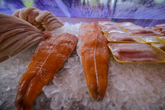 setor-de-pescados-fica-fora-da-lista-de-excecoes-dos-eua-e-fala-em-‘frustracao’