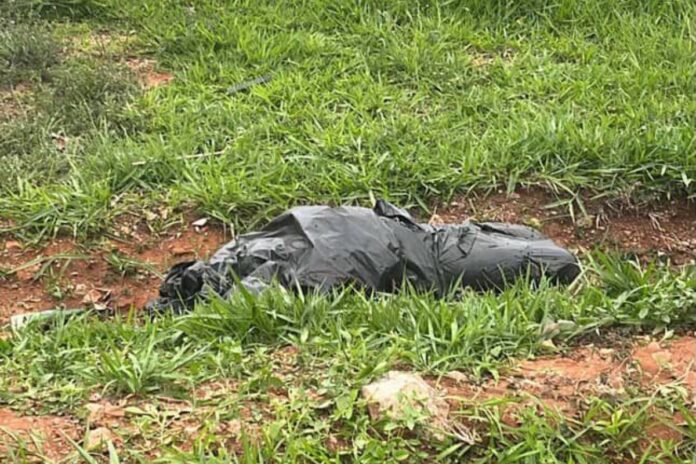 corpo-de-homem-e-encontrado-enrolado-em-saco-de-lixo-em-terreno-no-df
