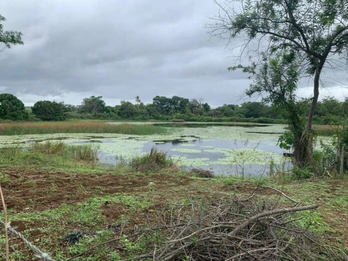 estado-firma-contrato-de-r$-4,3-milhoes-para-revisar-barragens-de-rio-na-chapada,-que-enfrenta-crise-hidrica