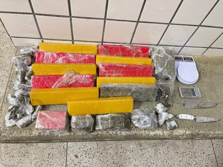 pm-apreende-mais-de-11-kg-de-maconha-durante-acao-no-bairro-colina-verde,-em-teixeira-de-freitas