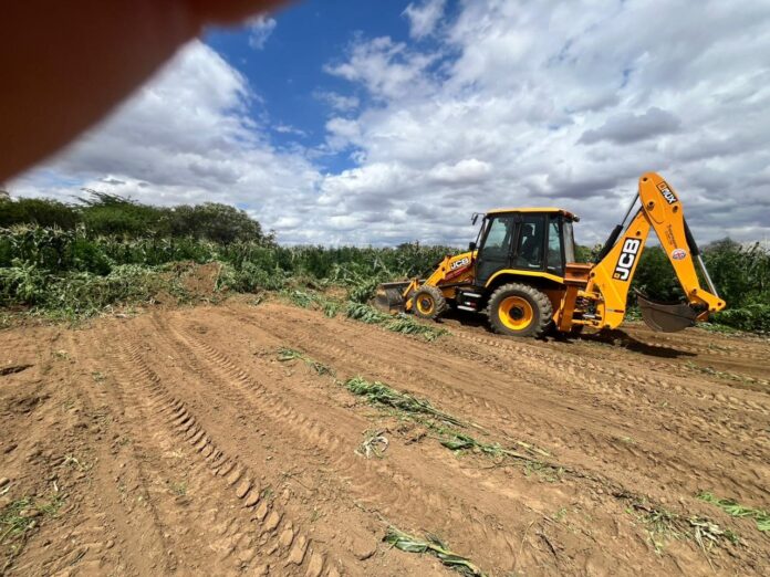 mais-de-200-mil-pes-de-maconha-sao-erradicados-pela-pm-em-barro-alto