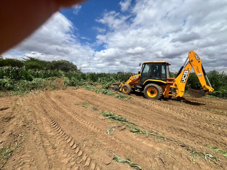 mais-de-200-mil-pes-de-maconha-sao-erradicados-pela-pm-em-barro-alto