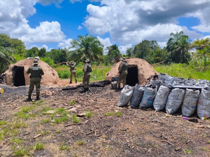 coppa-apreende-mais-de-uma-tonelada-de-carvao-vegetal-irregular-em-pojuca