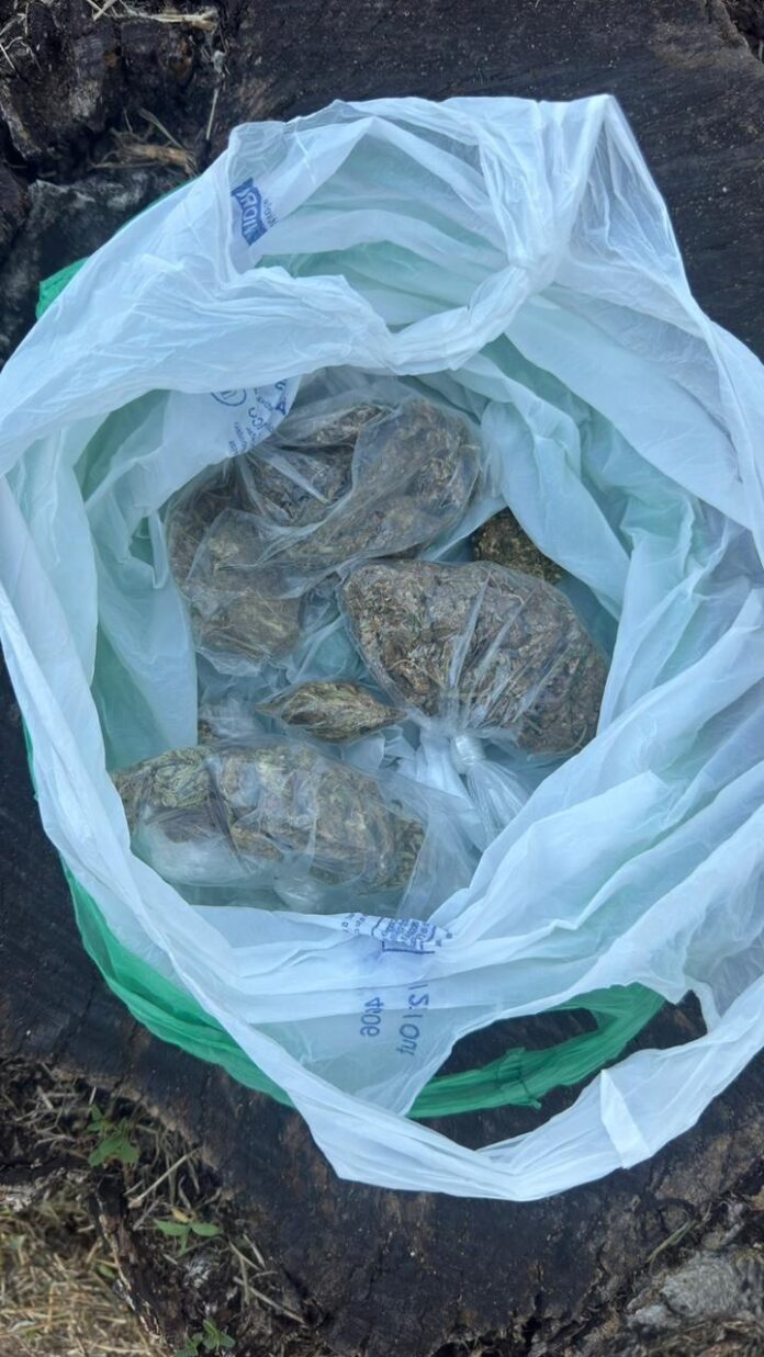 pm-prende-suspeito-de-trafico-e-apreende-maconha-na-gamboa