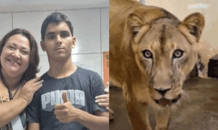 jovem-atacado-por-leoa-morreu-de-choque-hemorragico-apos-mordida-no-pescoco,-afirma-iml