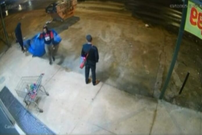 ladroes-fazem-limpa-em-loja-do-df-usando-carrinho-de-mercado