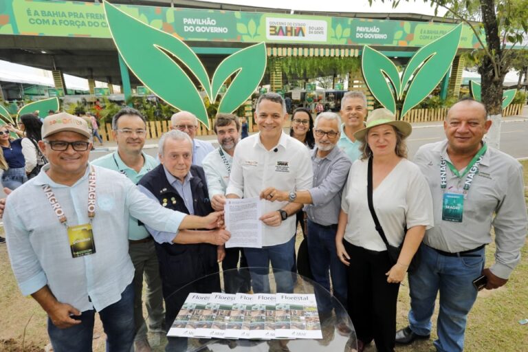 bahia-inicia-projeto-de-arborizacao-urbana-em-dez-cidades
