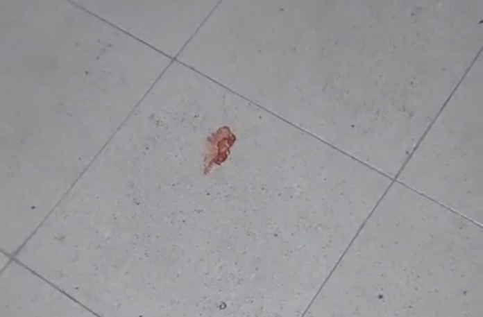 adolescente-de-17-anos-e-executada-a-tiros-em-distrito-de-alcobaca