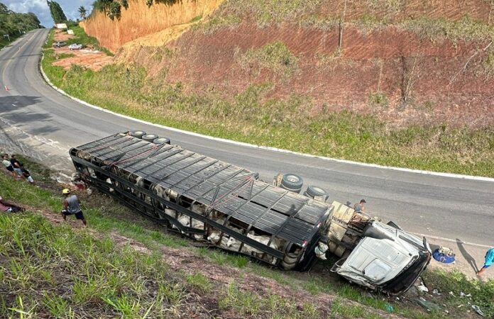 carreta-com-gado-tomba-na-br-101;-motorista-gravemente-ferido,-animais-morrem-e-parte-da-carga-e-saqueada