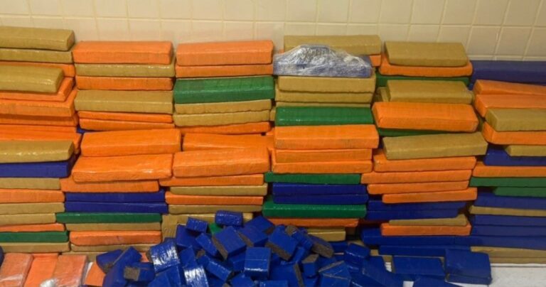 pm-apreende-cerca-de-uma-tonelada-de-maconha-em-simoes-filho