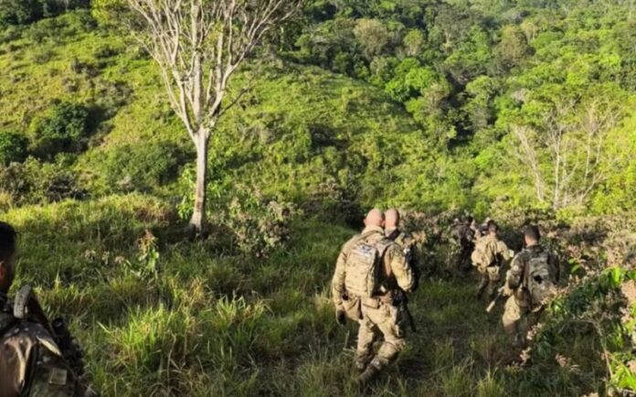 cacique-e-preso-e-mais-de-dez-armas-sao-apreendidas-apos-operacoes-por-causa-de-conflitos-entre-produtores-e-indigenas