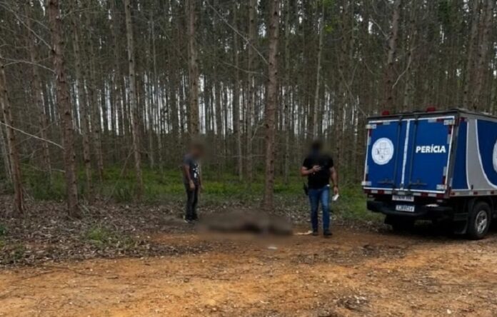 corpo-em-decomposicao-e-encontrado-em-plantacao-de-eucalipto-as-margens-da-ba-275