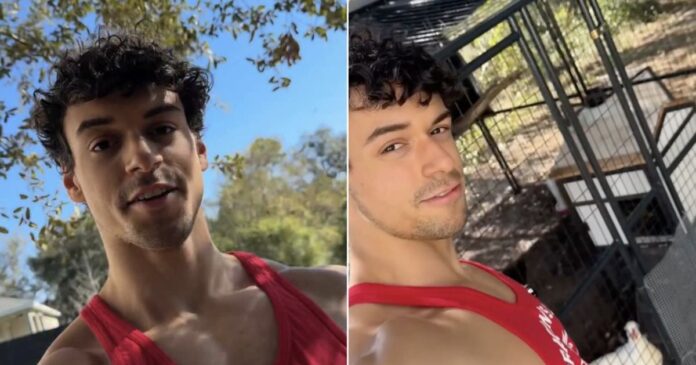 filho-de-carla-perez-e-xanddy-reformula-criacao-de-galinhas-em-casa