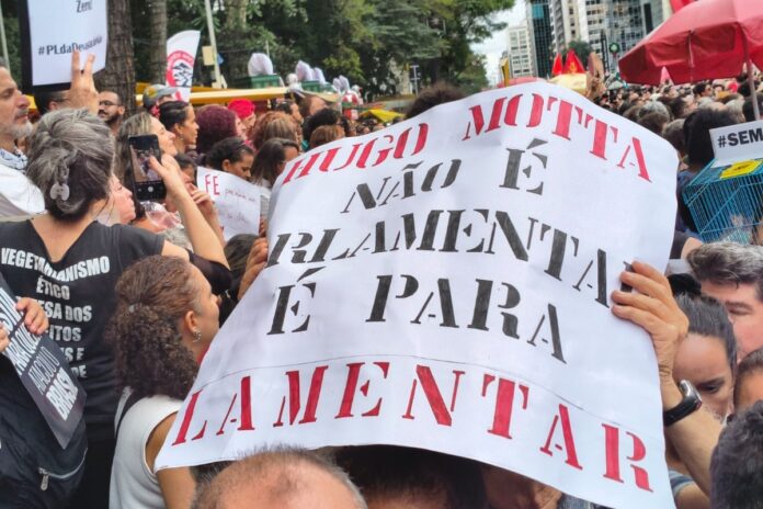 mulher-de-boulos-puxa-coro-de-vaias-contra-hugo-motta-na-paulista