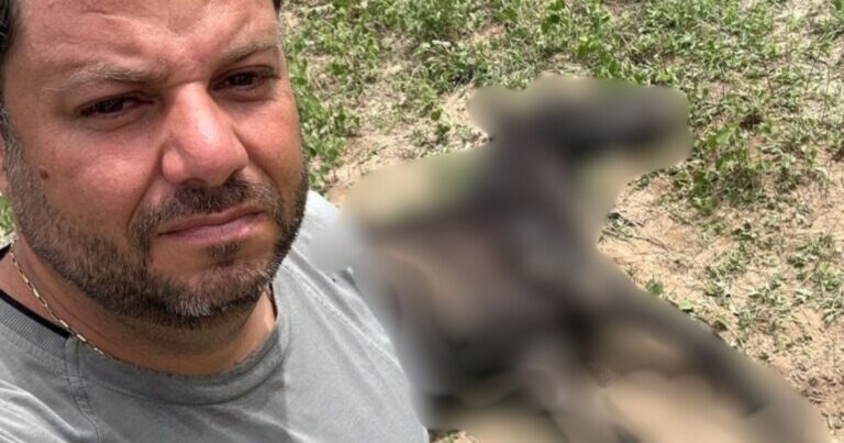 ataque-de-abelhas-deixa-cavalos-mortos-durante-passeio-no-interior-baiano