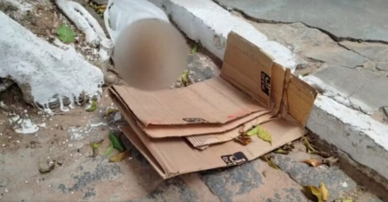 cranio-humano-e-encontrado-no-centro-de-cidade-baiana-e-policia-apura-possivel-furto-em-cemiterio