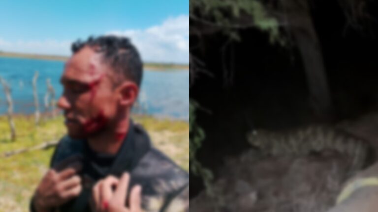 pescador-e-atacado-por-jacare-em-trecho-de-rio-sao-francisco-na-bahia
